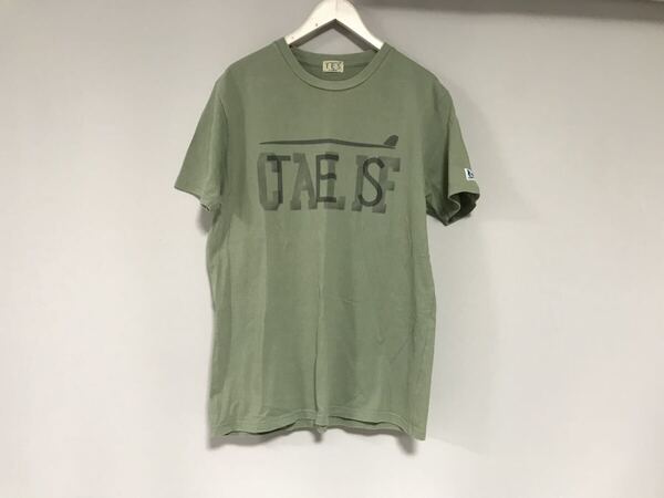 本物エンドレスサマーThe Endless SummerテスTESコットンプリント半袖TシャツメンズサーフアメカジミリタリーワークカーキXL日本製