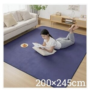 ラグ カーペット 滑り止め付き 洗える ラグマット 200×245cm 絨毯 オールシーズン フランネル 抗菌 防臭 ホットカーペット対応 ネイビー
