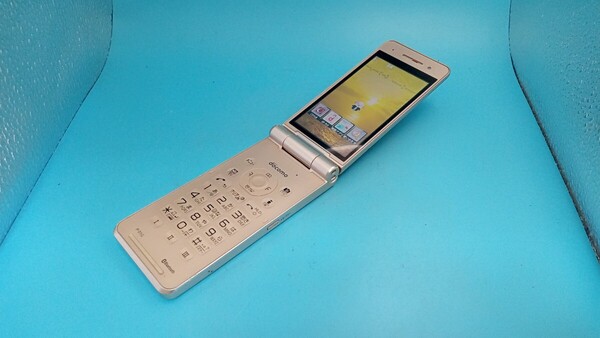 K3762 docomo FOMA P-01G Panasonic/パナソニック/ケータイ/ 簡易動作確認&簡易清掃&初期化OK 判定○ 現状品 送料無料