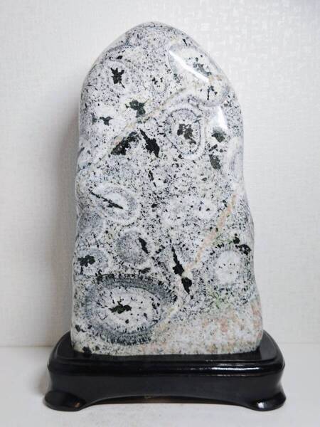 【時計石】◆8.5kg◆ ナポレオン石 球状閃緑岩 原石 鑑賞石 自然石 天然石 水石 鉱物 鉱石 置物 インテリア
