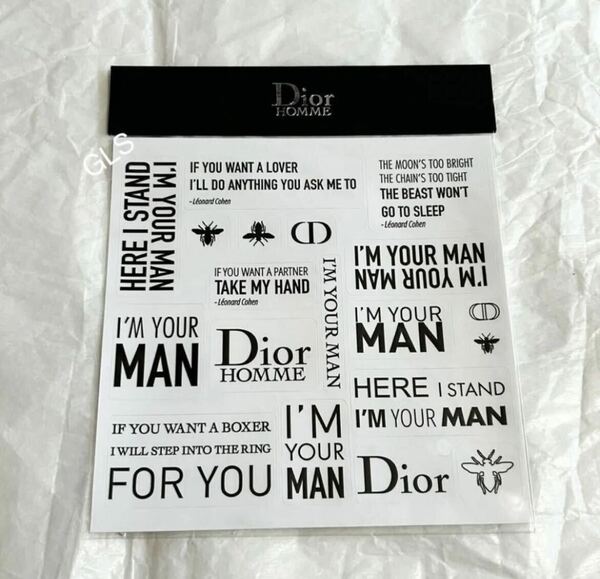 激レア 未開封本物 ディオール オム シール ステッカー BEE ミツバチ ハチ 蜂 ロゴ DIOR HOMME ノベルティ 非売品