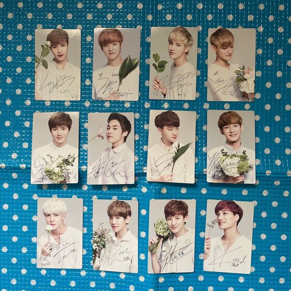 EXO★NATURE REPUBLIC ネイチャーリパブリック★ノベルティー 非売品 トレカ フォトガード★12枚セット 第2弾