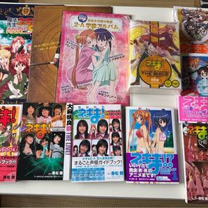 ★☆魔法先生ネギま! パンフレット オフィシャルファンブック 他 合計12冊セット☆★