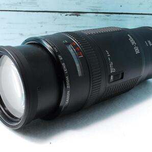 キャノン用100-300mm超望遠ズームレンズ SIGMA