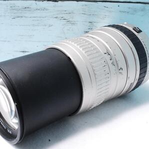 訳アリキャノン用100-300mm超望遠ズームレンズ