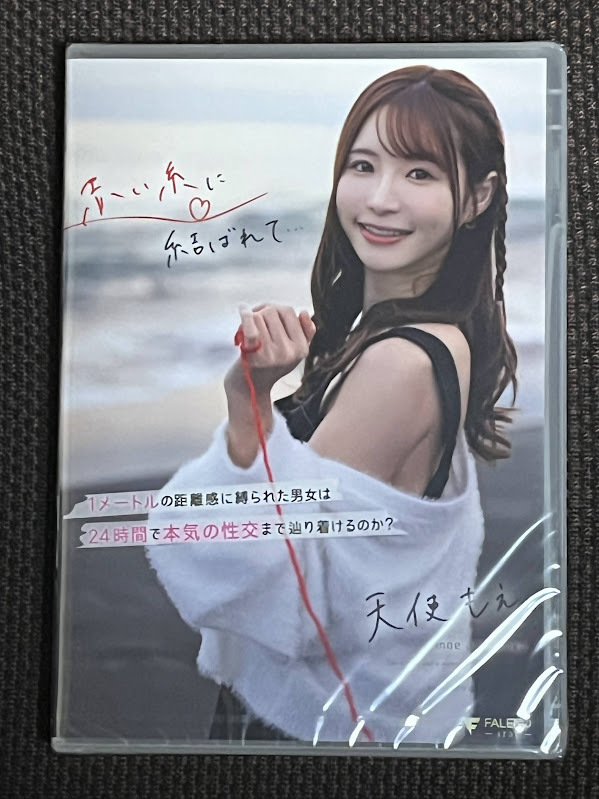 赤い糸　DVD 赤い糸 DVD-BOX