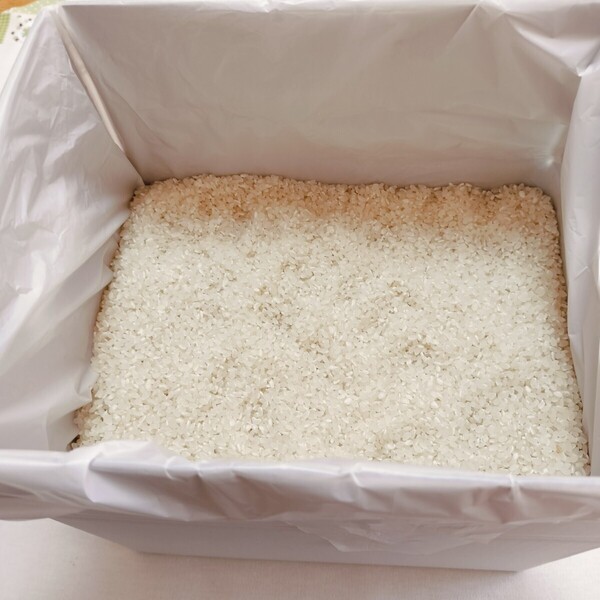 令和6年産 お米 正味5kg 大分県産 新米 (5月13日上白精米)#1