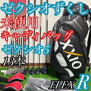 未使用 キャディバッグ ゼクシオ5 MP500 XXIO5 13本セット メンズ 右利き フレックスR フルセット
