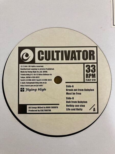 Cultivator Break Out From Babylon 12” レコード