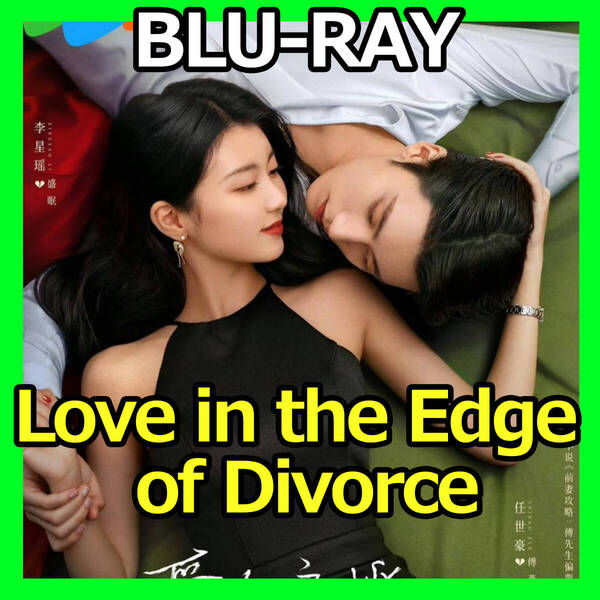 A399 Love in the Edge of Divorce 中国ドラマ Blu-ray AI翻訳版