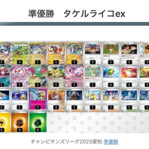 ポケモンカード チャンピオンズリーグ CL愛知準優勝 ライコポン構築済みデッキ タケルライコex