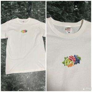 FRAGMENT DESIGN × FRUIT OF THELOOM TシャツL