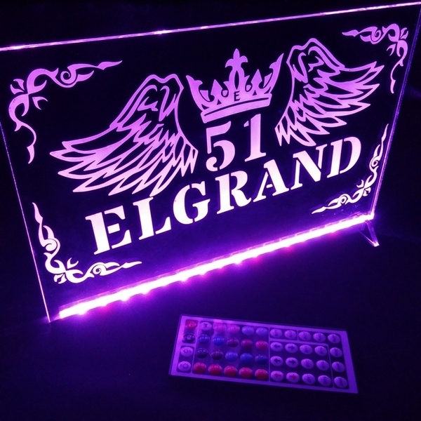 エルグランド⑤ リモコン付 フルカラーLED アクリルプレート 日産 NISSAN カスタム パーツ ステッカー ライト E52 E51 E50 PE NE ME WE