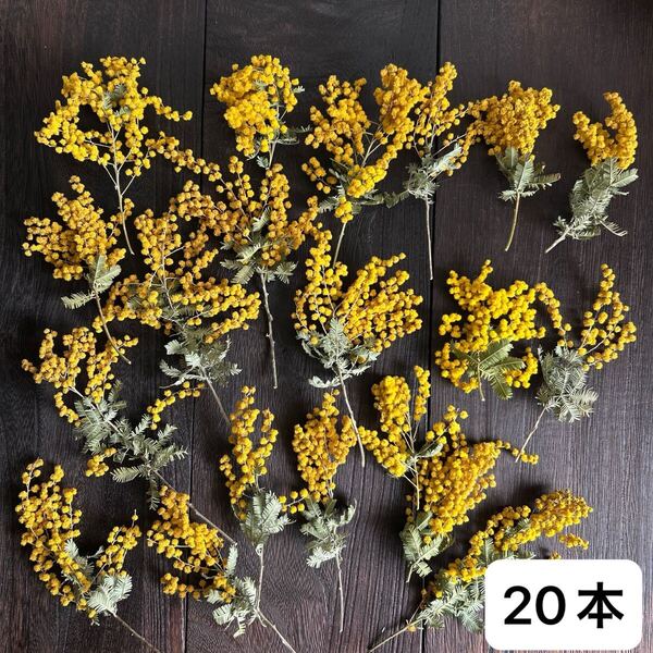 ミモザ ドライフラワー ミニ スワッグ 花材 リース レジン 素材