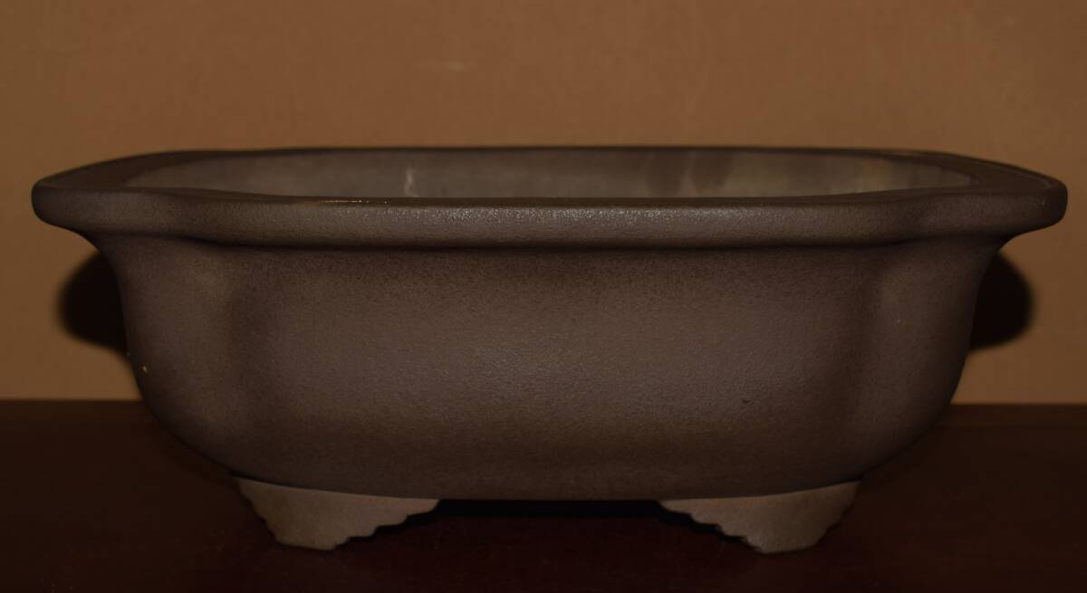 Yahoo!オークション -「尚」(盆栽用具) (盆栽)の落札相場・落札価格