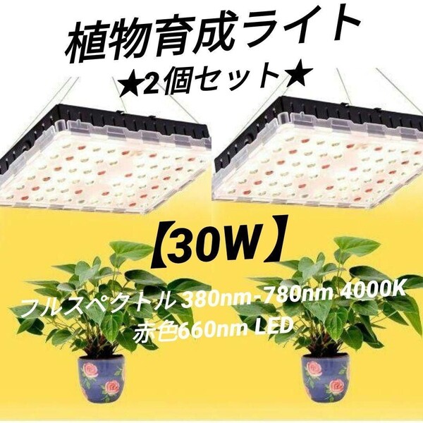 ★2個セット★ 植物育成ライト LED 家庭菜園 多肉植物 観葉植物 高効率 長寿命 室内水耕栽培温室野菜植物 花種まきから収穫 30W 赤色光
