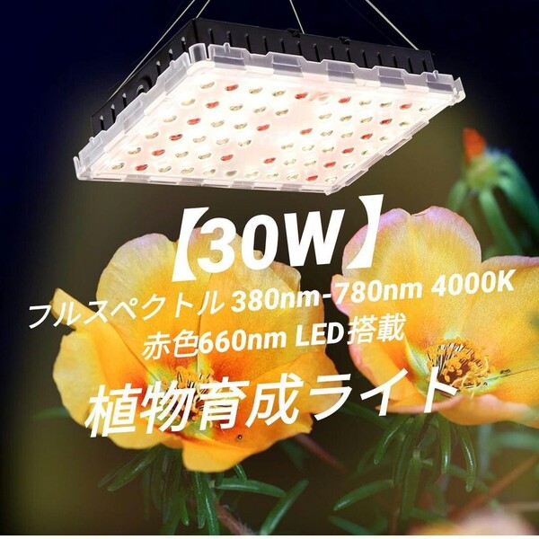 植物育成ライト LED 家庭菜園 多肉植物 観葉植物 高効率 長寿命 室内水耕栽培温室野菜植物 花種まきから収穫 30W 赤色光
