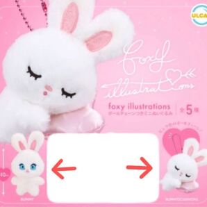 foxy illustrationsボールチェーンつきミニぬいぐるみ ガチャ BUNNY×1、BUNNY(CUSHION)×1