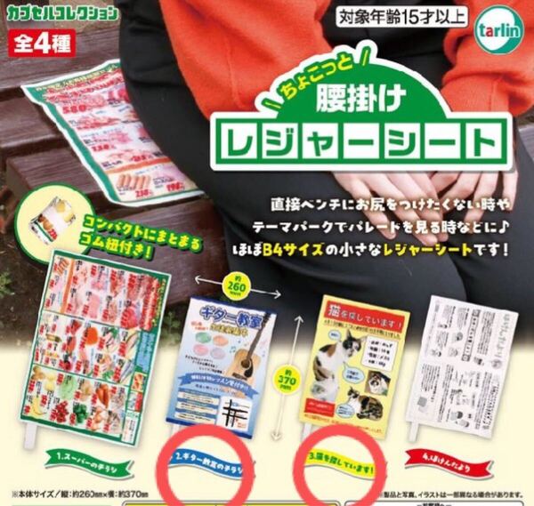 tarlin ターリン ガチャ ちょこっと腰掛けレジャーシート(2.ギター教室のチラシ×1、3.猫を探しています!×1)