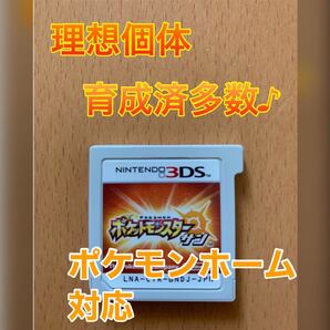 ポケモン サン ソフトのみ