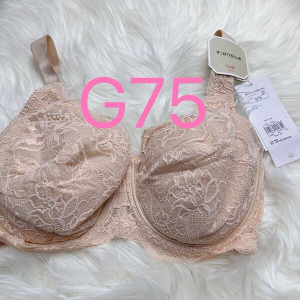 トリンプ トリンプストーリー 477 フルカップブラジャー ベージュ G75