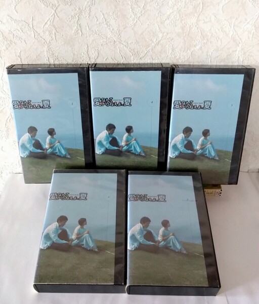 渡部篤郎主演 広末涼子 テレビドラマ 愛なんていらねえよ、夏 VHS ビデオテープ全5巻セット レンタル落ち 第1話〜第10話