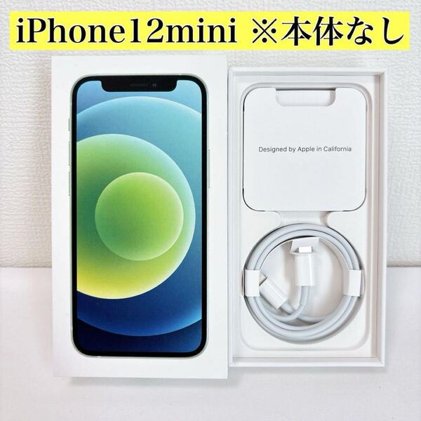 iPhone12mini 空箱 USB-C Lightningケーブル グリーン