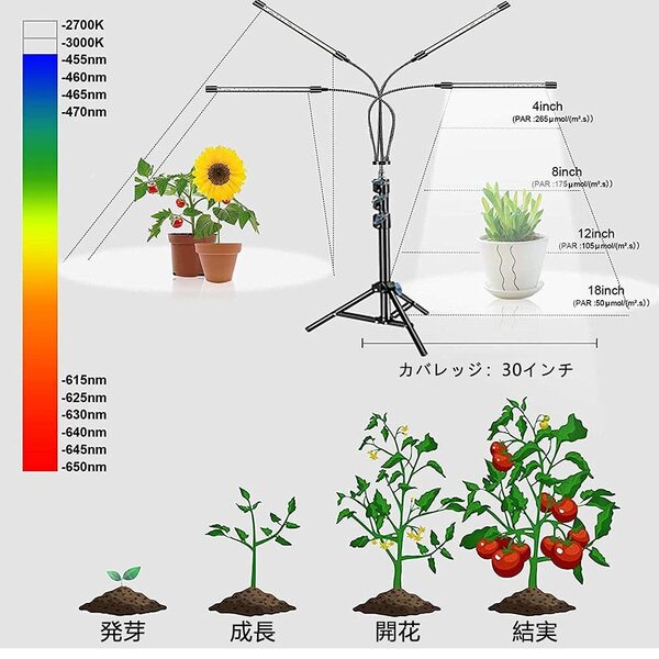 LED植物育成ライト スタンド付き