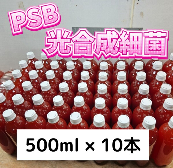 PSB【500ml×10本】光合成細菌 メダカ 水質 バクテリア エサ めだか 野菜 肥料