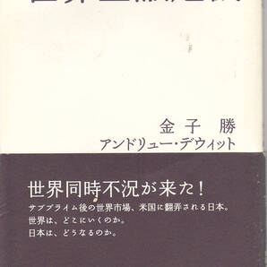 1597-1【送料込み】岩波ブックレット No.740 金子勝 / アンドリュー・デウィット 著「世界金融危機」