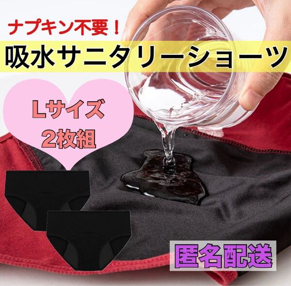吸水サニタリーショーツ Lサイズ 2枚組 ブラック 新品 インナーウェア 生理ショーツ 生理用品 漏れ防止 ズレない ナプキン不要 防災用品