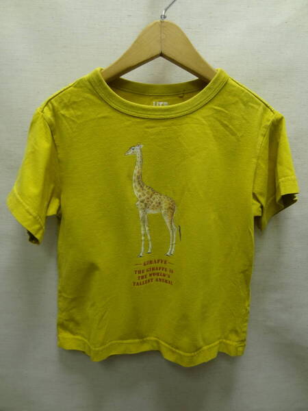 全国送料無料 ユニクロ UNIQLO UT X NATURAL HISTORY MUSEUM 子供服キッズ男&女の子 キリンプリント マスタード色 半袖Tシャツ 120