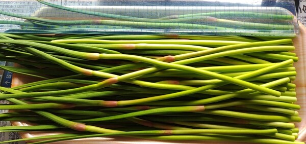 にんにくの芽 800g◎無農薬