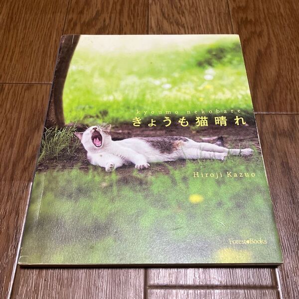 きょうも猫晴れ Hiroji Kazuo/写真と文 いのちのことば社フォレストブックス キリスト教 聖書 み言葉