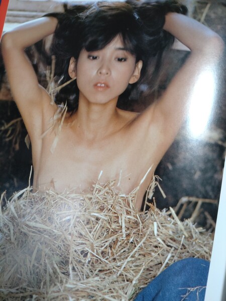 【写真集】スレンダー美人 FASTENER 川島なお美 初版 55