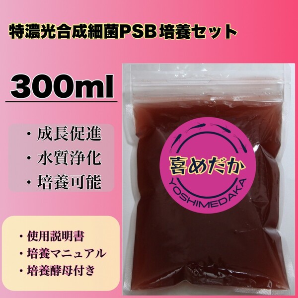 ★培養セット★特濃光合成細菌PSB300ml 喜めだか バクテリア メダカ めだか 卵 金魚 稚魚 針子 ゾウリムシ クロレラ ミジンコ 熱帯魚