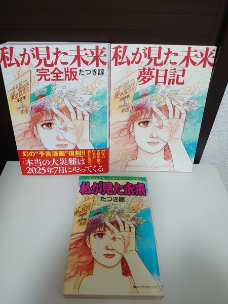 私が見た未来