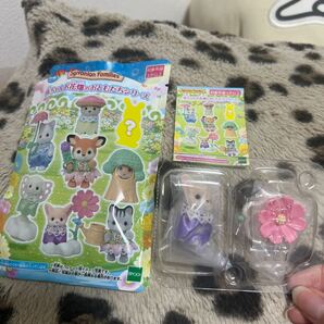 シルバニア 赤ちゃんお花畑のおともだちシリーズ フェネックの小さい赤ちゃん カーヤ 赤ちゃん フェネック お花畑 シルバニアファミリー