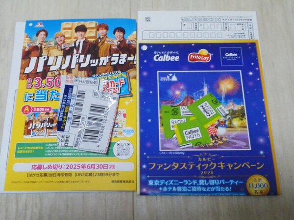 懸賞 キャンペーン 応募 チョコモナカジャンボ バーコード3枚、カルビー 応募マーク48点 ハガキ各5枚