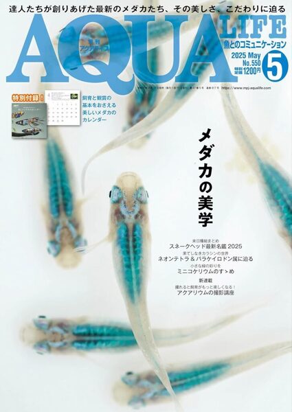 送料無料★本 月刊アクアライフ 2025年5月号 AQUALIFE