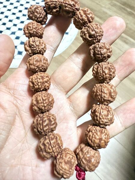 新品 天然高品質菩提樹の実★数珠 大玉ラクシャブレスレット 限定1本 送料無料