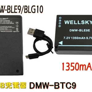 DMW-BLE9 新品 DMW-BLG10 互換バッテリー 1個 + DMW-BTC9 DMW-BTC12 Type C USB 急速 互換充電器 バッテリーチャージャー 1個 DMC-GF3