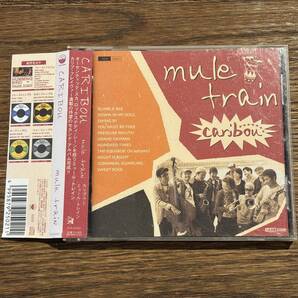【Mule Train】CARIBOU