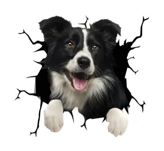 ボーダーコリー ステッカー カーステッカー カー用品 かわいい 3D シール ウォールステッカー 犬ドッグ 車 車外アクセサリー