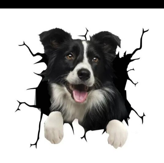 ボーダーコリー ステッカー カーステッカー カー用品 かわいい 3D シール ウォールステッカー 犬ドッグ 車 車外アクセサリー