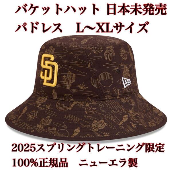 【100%正規品】バケットハットL〜XLサイズSDスプリングトレーニング2024キャンプ新品ダルビッシュ有MLBサンディエゴ・パドレス帽子キャップ