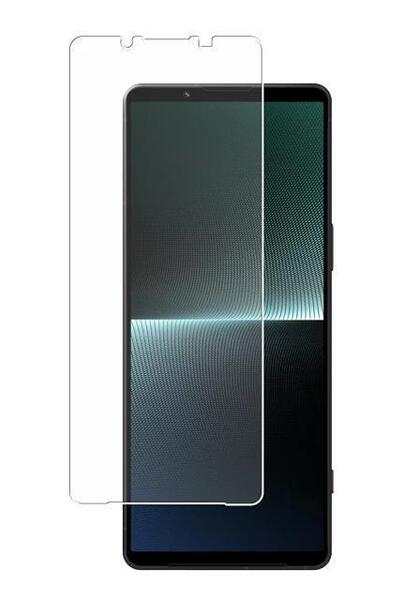 Xperia1 V 旭硝子 ガラス フィルム SO-51D SOG10 XQ-DQ44 xperia 1 V エクスペリア ワン マーク5 保護フィルム 旭硝子 2.5D ラウンド