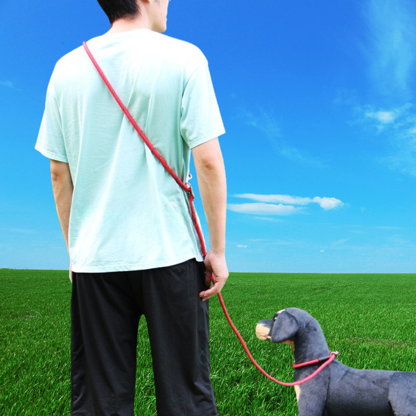 【首輪+リード+発光チャーム】夜のお散歩に◎多機能犬用リード ハンズフリー対応小型~中型犬用セット