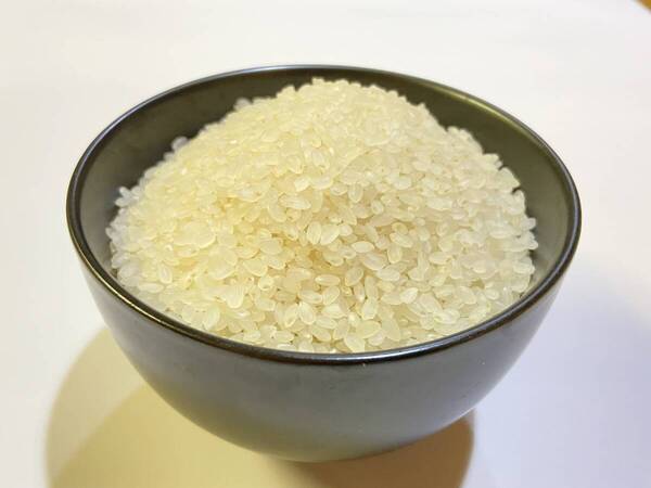 10kg 信州産 農家直送 コシヒカリ 精米 減農薬 送料無料