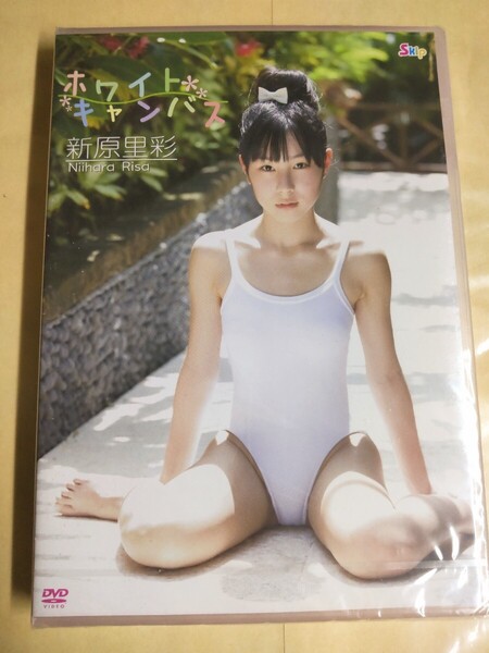 ◯正規品 未開封 新原里彩 ホワイト キャンバス (ホワイトキャンバス アイドルDVD
